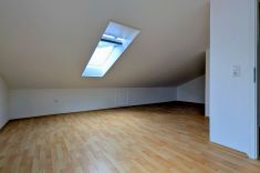 DG Studio I