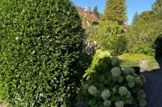 Garten II