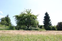 Ansicht IV