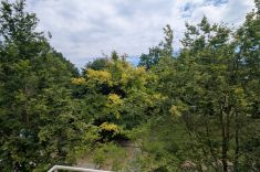 Ausblick Balkon