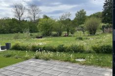 Ausblick von der Terrasse