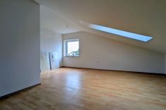 DG Studio II