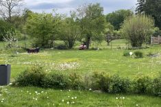 Ausblick in die Natur