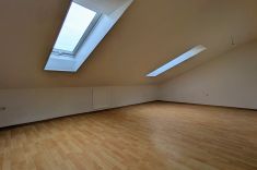 DG Büro